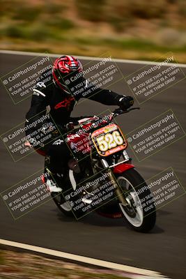 media/Feb-16-2024-CRA (Fri) [[3bc3e7055d]]/Group B/Session 5 (Turn 4)/